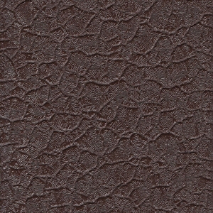 Крокодил коричневый