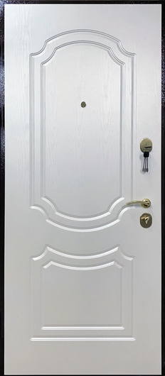 Металлическая дверь в квартиру